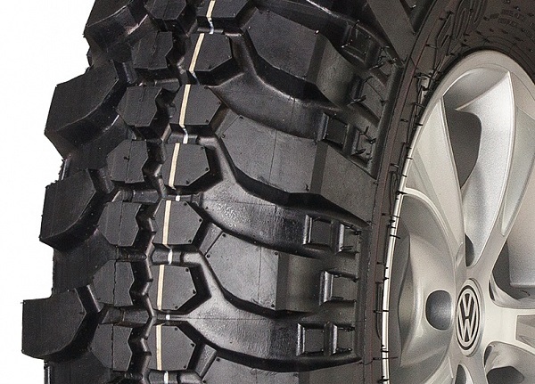 Алтайшина Forward Safari 500 (1)